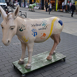 Z50_0591_DxO.jpg