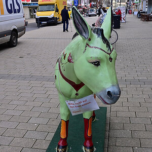Z50_0596_DxO.jpg