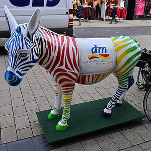 Z50_0598_DxO.jpg