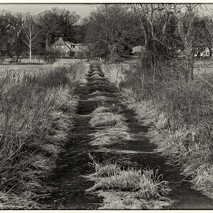 Der alte Feldweg.jpg
