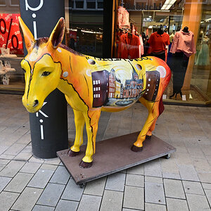 Z50_0611_DxO.jpg