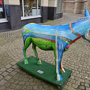 Z50_0615_DxO.jpg