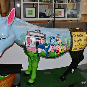 Z50_0619_DxO.jpg