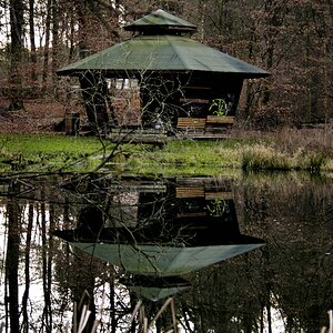 Tristesse im Uelzener Forst 1.jpg