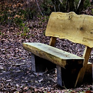Tristesse im Uelzener Forst 4.jpg