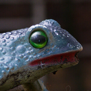 DSC_0228DXO-1.jpg