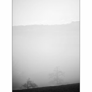 MorgenDSC_3146.jpg
