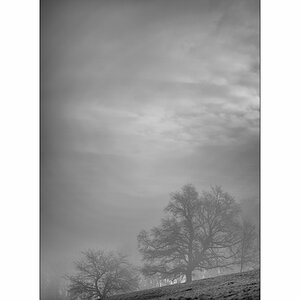 MorgenDSC_3153.jpg