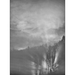MorgenDSC_3155.jpg