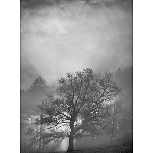 MorgenDSC_3156.jpg