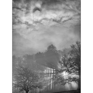 MorgenDSC_3157.jpg
