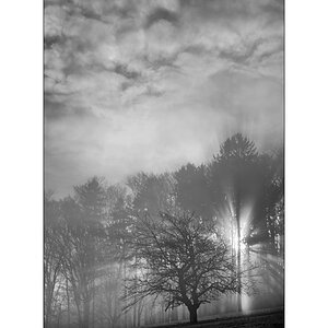 MorgenDSC_3158.jpg