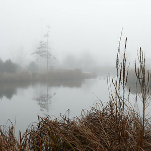 DSZ_0060_DxO.jpg