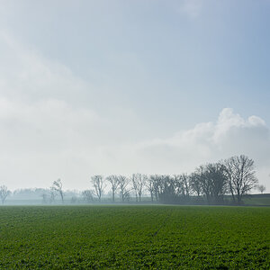 OF2_36157.jpg