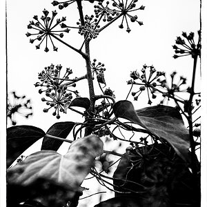 045 Schönheit der Natur im Winter