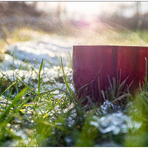 047 Aufn Tee im Schrebergarten