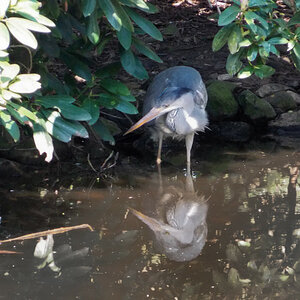 DSCN4179NF.jpg