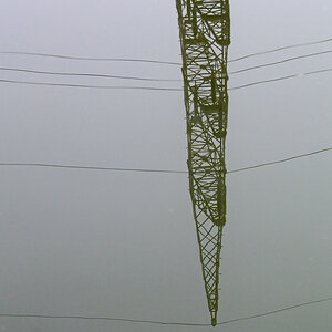 _DSC0040Kxl.jpg