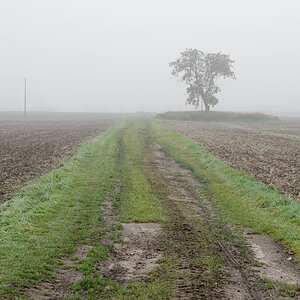OF-48580.jpg