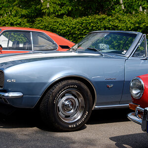DSC_1934dxo (2).jpg