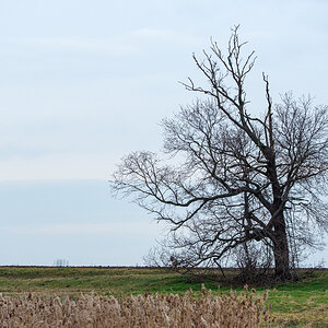 OF2_36442.jpg