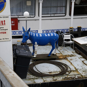 Z50_0784_DxO.jpg
