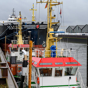 Z7F_0369_01.JPG