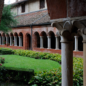 DSE_0646.jpg