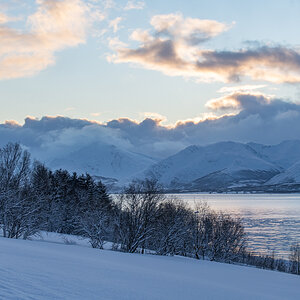 200203 Tromsø-11.jpg