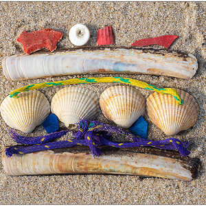 055 Strandgutpoesie