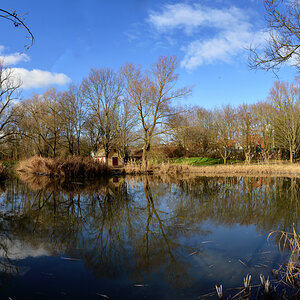 Ladenburg_teich_1200.jpg