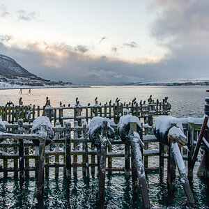 200205 Tromsø-3.jpg