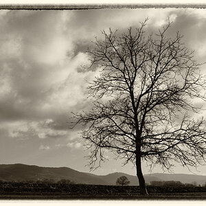 an der bergstrasse_1200.jpg