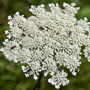20090716  DSF0175