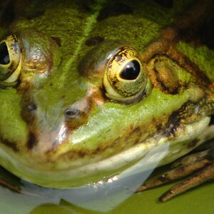 uebersicht crop