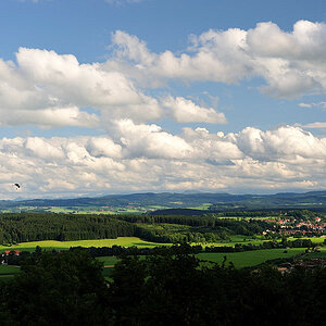 D03 3320