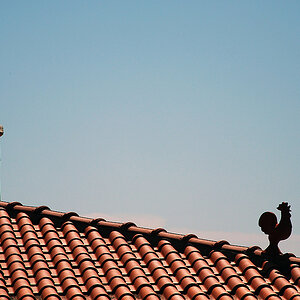 DSC 1037