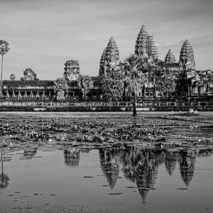 Angkor Wat