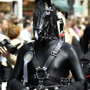 CSD2009 119