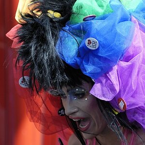 CSD2009 250
