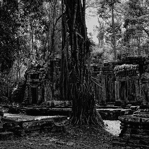 Angkor