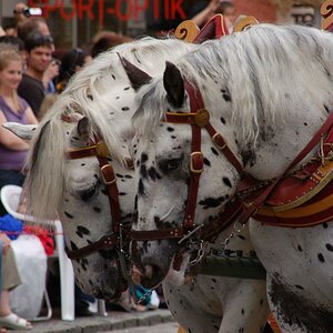 DSC 1134