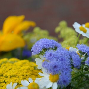 Blumenstrauß