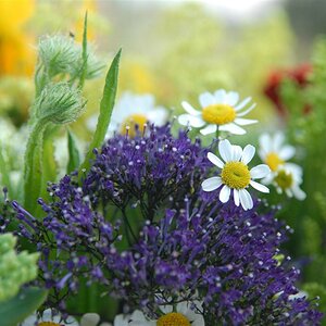 Blumenstrauß 2