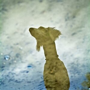 DSCF1010 cy2