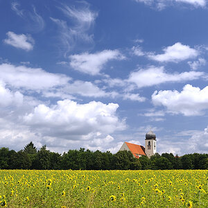 20090728 130646 Blutenburg Sonne