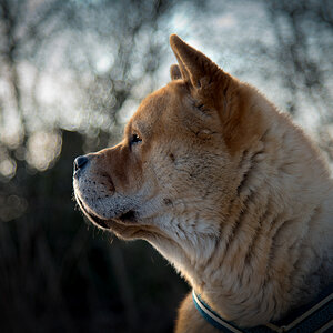 nf-DSC_1962.jpg