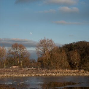 nf-DSC_2011.jpg