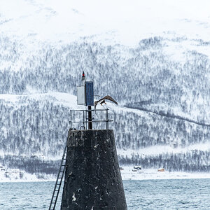 200206 Tromsø-15.jpg