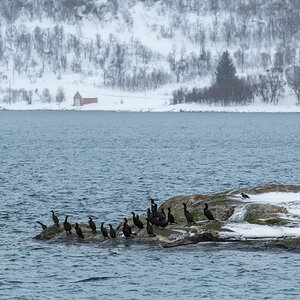 200206 Tromsø-26.jpg